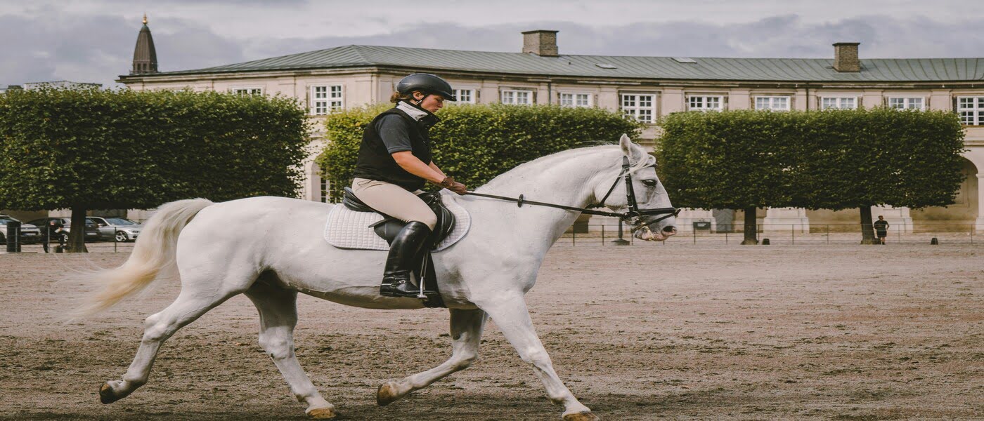 Horses' Hacienda Club