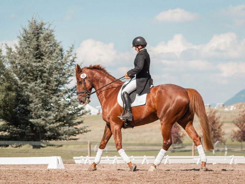 Jumping Training