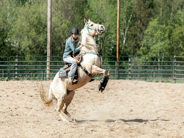 Riding Lessons