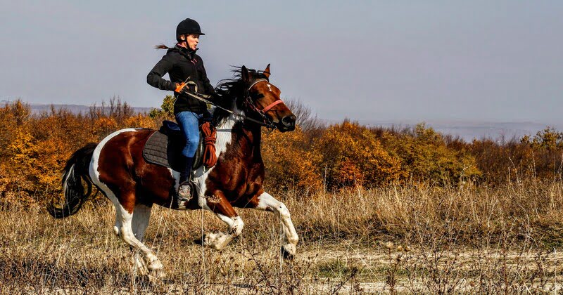 Riding Lesson Package