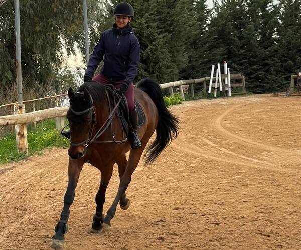 Schooling and Training