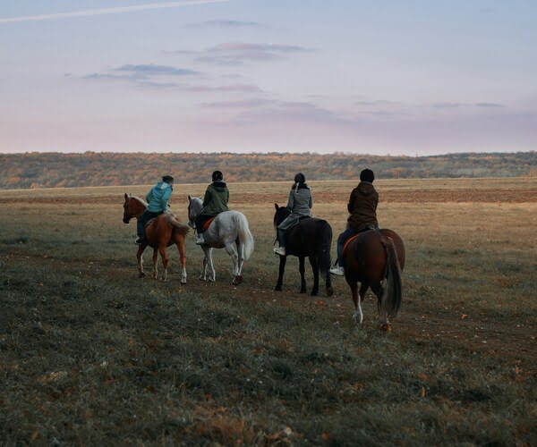 Horse Rental